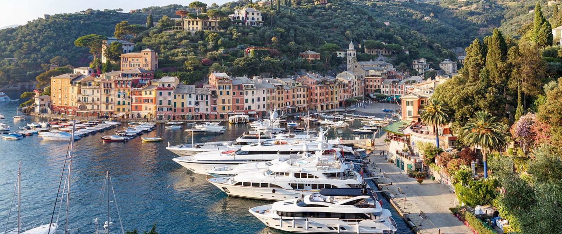 The Benefits of Joining a Dockage Membership