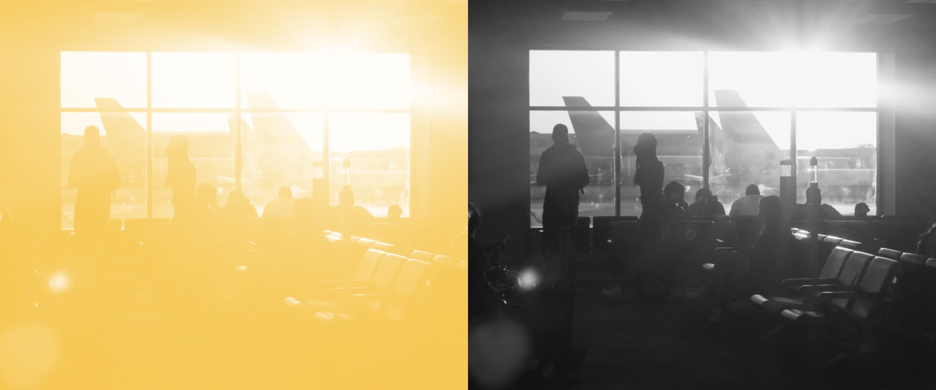 Exploring Crew Memberships: All You Need to Know